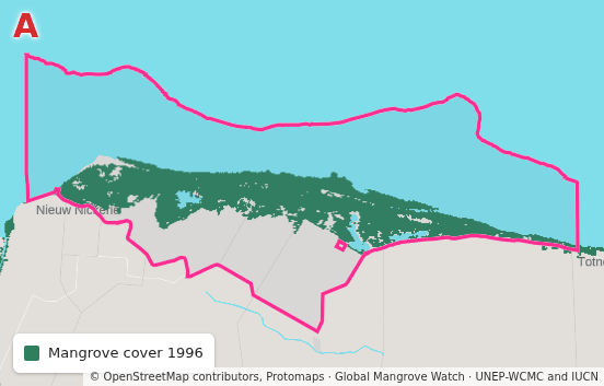 Bigi Pan, Suriname: cover in 1996, cover in 2025, the change between them