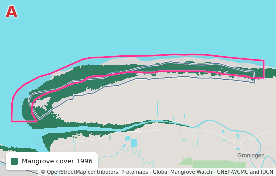Coppename Monding, Suriname: cover in 1996, cover in 2025, the change between them